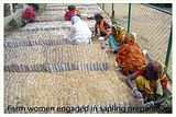 Farm women engaged in sapling preparation